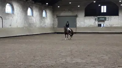 Societe Hippique d'Abbeville