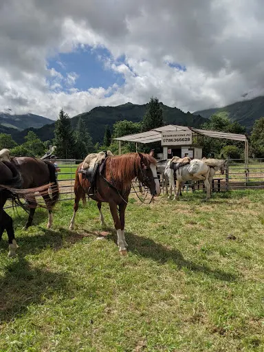 Randonnées À Cheval Eric Bonnemazou