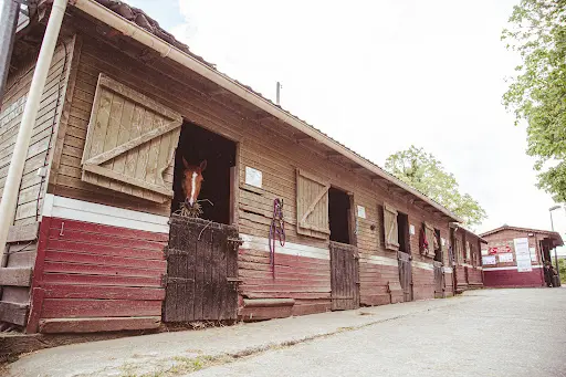 Ecurie les Petits Chevaux Achères