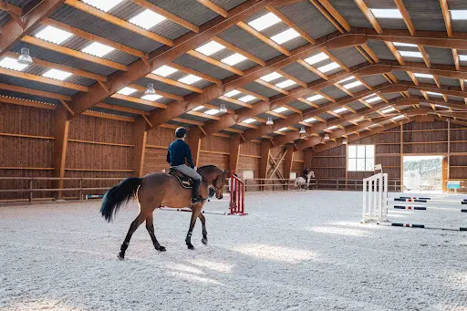 Haras de Fontainebleau - Ecuries Singer