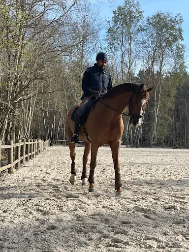 Haras du Haut le Vent