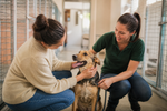 Adoption d'un animal de compagnie : comprendre les freins et bien se préparer