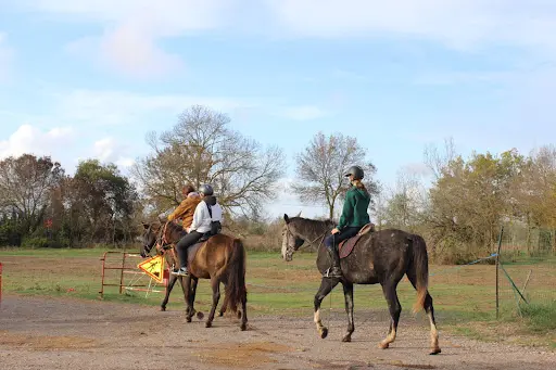 Le Ranch Luke