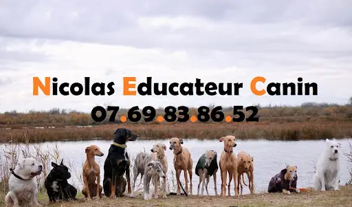 Nicolas Educateur Canin