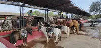 Ranch le Gardian