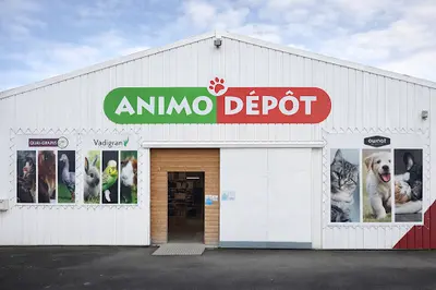 Animo Dépôt Agneaux