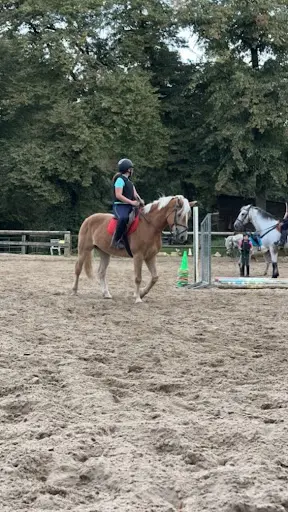 Les Chevaux d'Agnetz