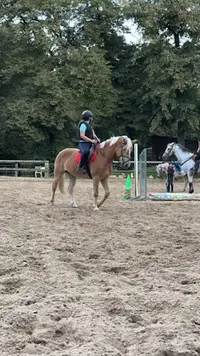 Les Chevaux d'Agnetz