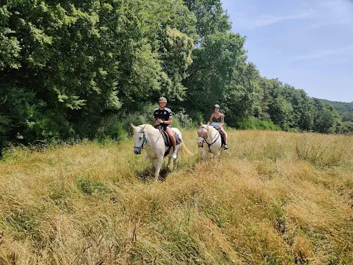 Balade À Cheval Avec Evasion Rando