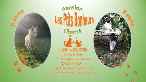 Les Ptits Bonheurs - Pension Féline