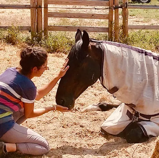 Equid-forme en Camargue