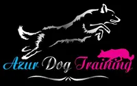 Azur Dog Training