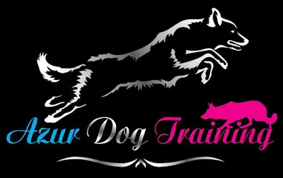Azur Dog Training