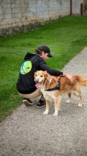 Éducateur Canin À Domicile (lot et Garonne)à Bout d'Laisse