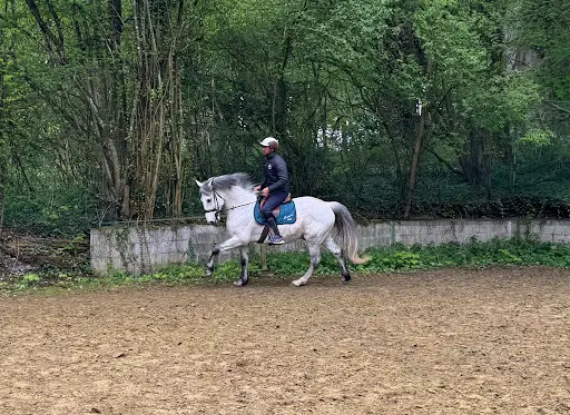 Commecy Comme Ca Equitation