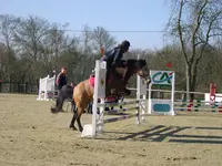 Centre Equestre du Moulin d'Airion