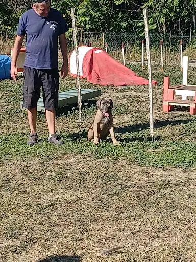 Aix Sport Canin