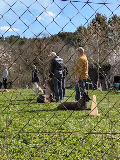 Club Cynophile Aixois - Club Canin