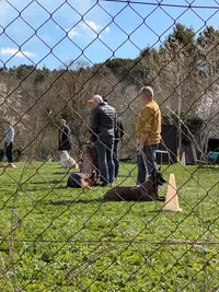 Club Cynophile Aixois - Club Canin