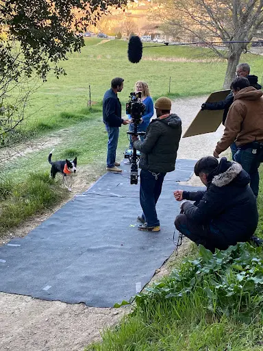 Education Canine Aix en Provence