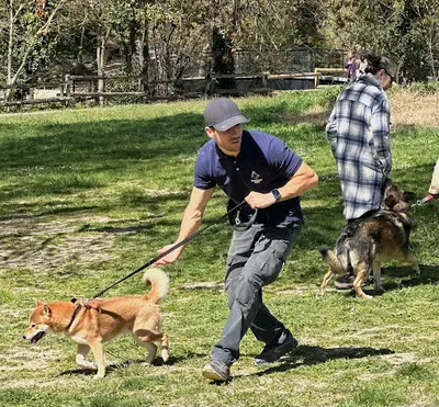 Training Dog - Éducateur Canin Comportementaliste - Aix en Provence