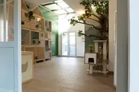 La Colo Cat Aire - Pension Pour Chats