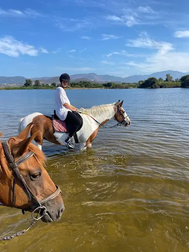 Ajaccio Équitation - Aiacciu Equitazioni