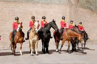Centre Équestre Albigeois