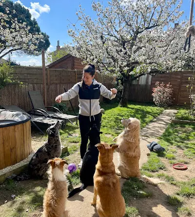 Focus Canin
