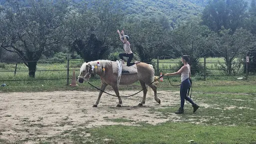 Soi Equestre