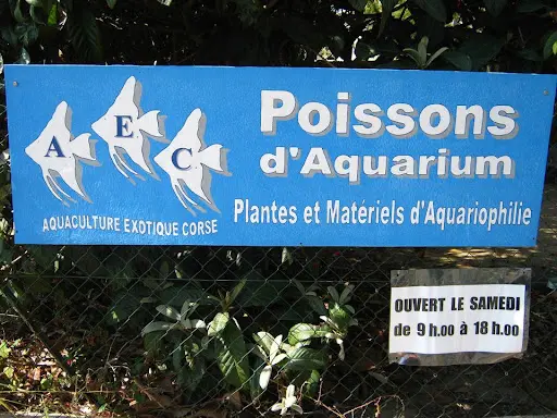 Aquaculture Exotique Corse