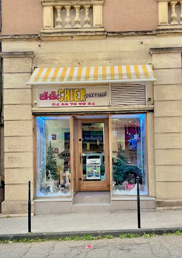 Esthétic Chien