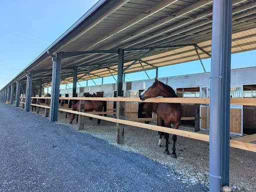 Ride Is Life Stables