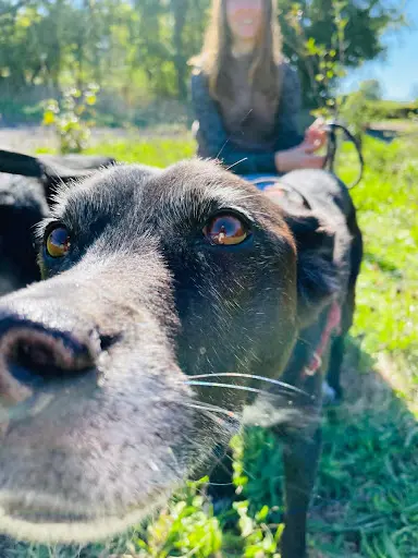 Aegonix : Éducmyatomicdogg - Éducateur Canin