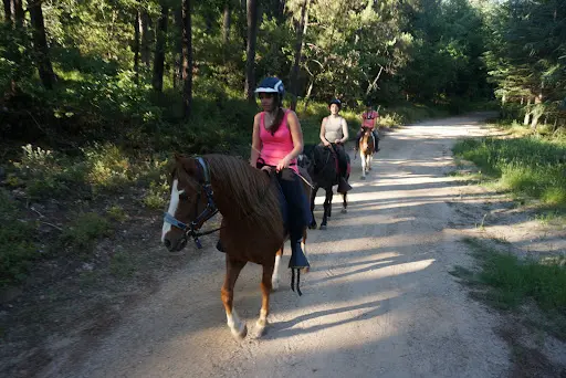 Les Chevaux du Cantaure