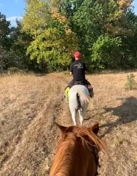 Ferme Equestre la Haute Yerle