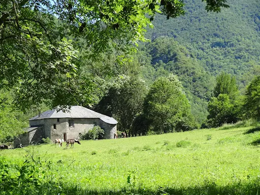 Les Longues Pistes Ferme Équestre
