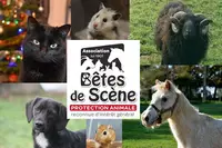 Bêtes de Scène