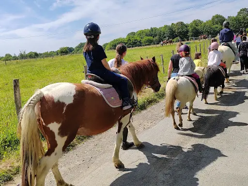 Centre Equestre du Domaine de la Mothe