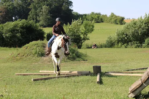 Solène Jourdain Monitrice d'Équitation