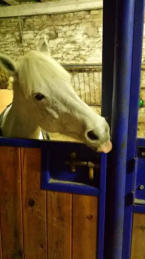 Poney Club Domaine de Romazières