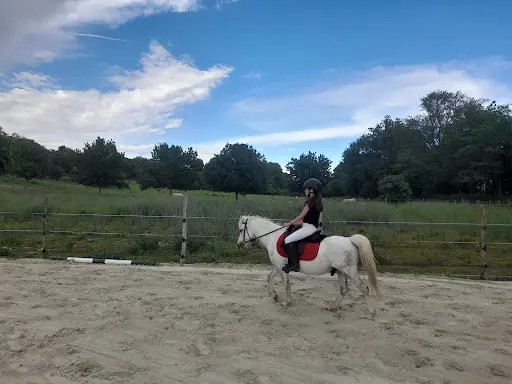 Poney Club Alzonne