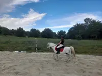 Poney Club Alzonne