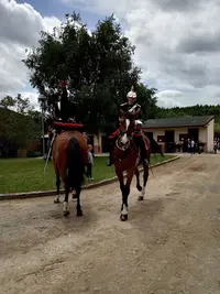 Centre Equestre d'Ambazac - Limoges