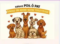 Poil O Pat