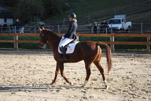 Ecuries des Balmettes