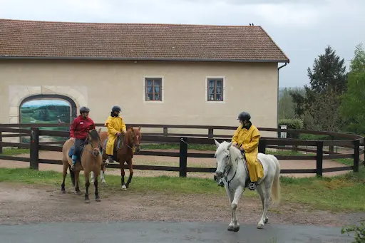 Pension Pour Chevaux du Moulin Juste