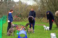 Ludivine Corbeau - Education Canine 56 - Mantrailing - Médiation Animale - Praticienne Eft Lahochi - Muzillac Vannes Morbihan