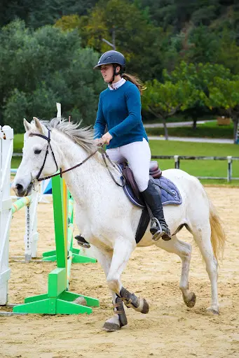 Centre Equestre d'Amélie