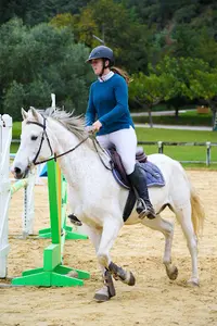 Centre Equestre d'Amélie